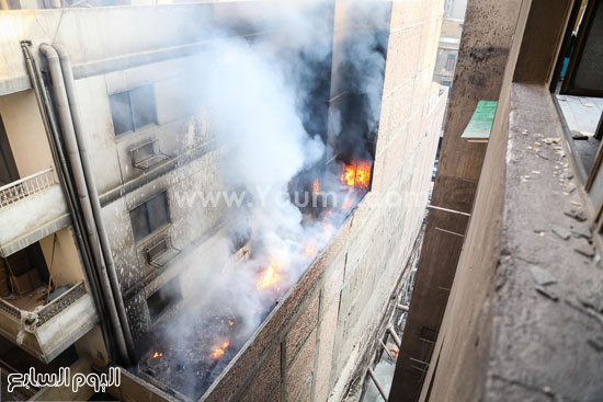 اليوم السابع -8 -2015